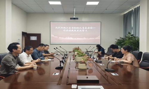 江苏省妇女儿童基金会到访我院开展交流学习