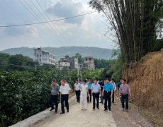 我院深入容县容州镇调研容县沙田柚产业发展情况